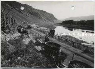 Weinlese an der Mosel