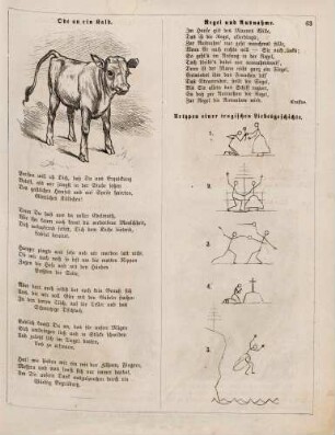 "Ode an ein Kalb" "Urtypen einer tragischen Liebesgeschichte"