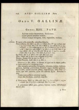 ORDO V PASSERES GALLINAE