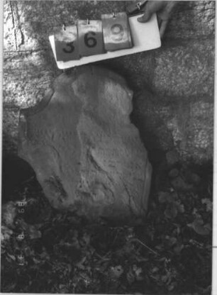 Grabstein 369 (Index: 99610006) Material: Sandstein Zustand: Stele abgebrochen, rechts oben und links unten angeschlagen, verwittert, weitgehender Textverlust Maße HxBxT: 60x47x7 cm Beschreibung: Fragment einer Stele, Konvexbogenabschluß, Schriftfeld eingetieft: Grabstein 369