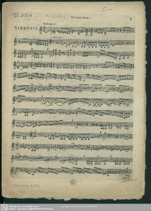 Violino