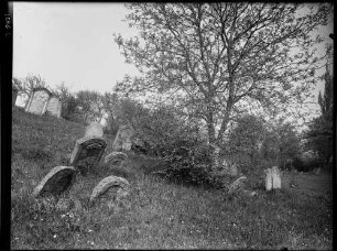 Külsheim Jüdischer Friedhof Eingangstür - Grabsteine