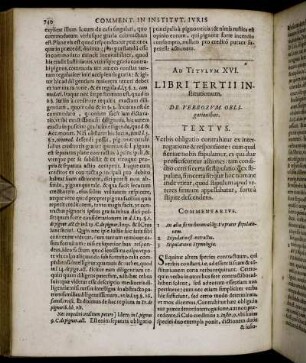 Ad Titulum XVI. - Ad Titulum XX.