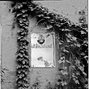 Plakat "Ich bin schwul" an einer bewachsenen Hausfassade