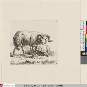 [Stehender Widder nach rechts vor liegendem Schaf; The so-called Man's Book, 3; Un bélier debout, dirigé vers la droite [...]. Au delà est couché un mouton vu de face]