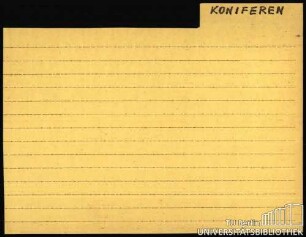 KONIFEREN