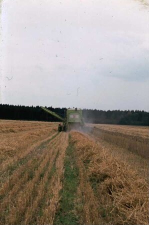 Fotografie: Mähdrescher selbstfahrend, Strohbergung