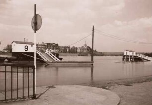 Dresden. Blick vom Terrassenufer nach Nordosten über die Elbe zu den Ministerien der Neustadt, vorn die Landebrücken beim Hochwasser im Juni 1965 mit Wasserstand 6m Dresdner Pegel