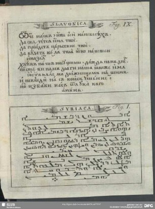 Fig. IX, Fig. I