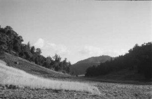 Vegetation einer Tallandschaft : In einem Tal südlich Kulubi ( Chercher-Gebirge).