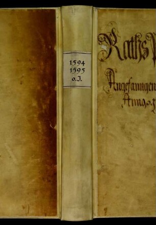 Ratsprotokolle, 1594 Aug. 1. - 1595 Juli 22.