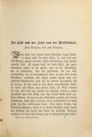 Mein Weltleben oder wie es dem Waldbauernbuben bei den Stadtleuten erging