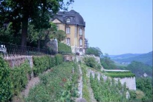Dornburger Schlösser: Blick von S zum Rokokoschloß und darunterliegende Weinbergterrassen