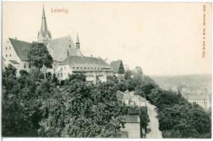 Leisnig. Blick nach Leisnig