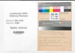 Entnazifizierung Johannes Bigalke , geb. 06.12.1904 (Lehrer)