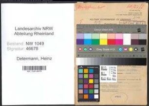 Entnazifizierung Heinz Determann , geb. 05.09.1899 (Ingenieur)