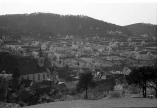 Amoltern: Tal mit Kirche und Kiefernstamm