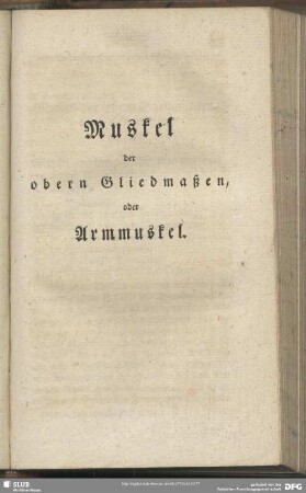 Muskel der obern Gliedmaßen, oder Armmuskel