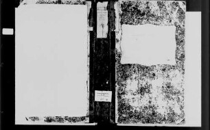 Zwingenberg, katholische Gemeinde: Standesbuch 1810-1866