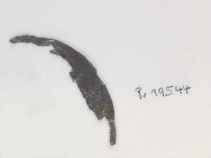 Rasiermesser