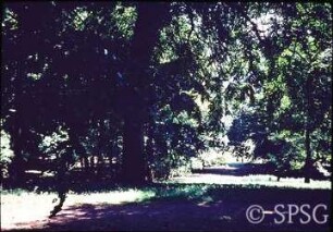 Potsdam, Park Babelsberg, Sitzplatz.