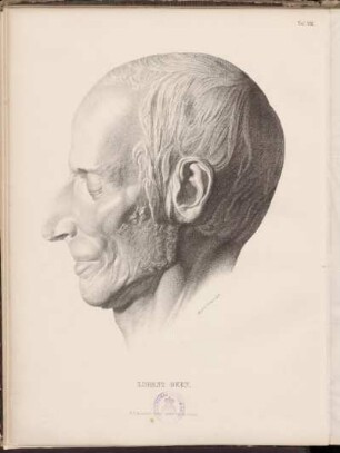 Tafel VIII. Lorenz Oken.