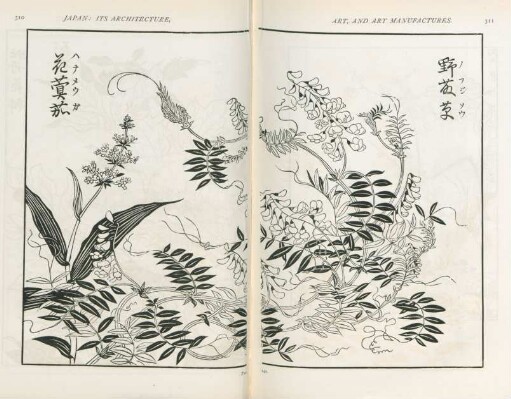 Fig. 142.