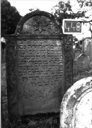 Grabstein 448 (Index: 100102727) Material: Sandstein Zustand: verwittert Maße HxBxT: 151x79x10 cm Beschreibung: Stele, eingezogener Rundbogenabschluss, im Bogen Blüte, Schriftfeld rechteckig eingetieft, am Rank Blütenfries Symbolik: Blüten: Grabstein 448