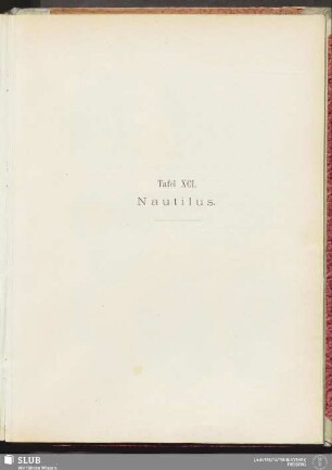 Tafel XCI. Nautilus