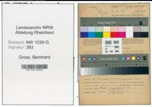 Entnazifizierung Bernhard Gross , geb. 16.08.1906 (Landesbeamter)