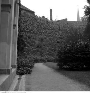 Palais Waldstein, Grotte