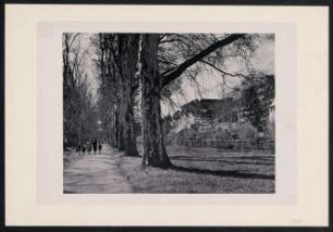 PA 6060, Platanenallee mit Neckarfront und Schloß