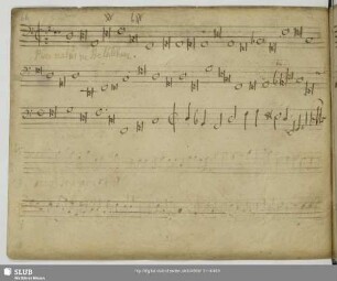 Anonymus: Puer natus in Bethlehem