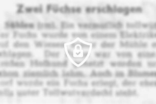 Zwei Füchse erschlagen