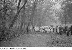 Schüler beim Waldlauf