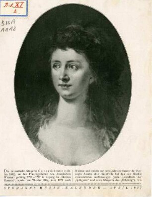 Schröter, Corona