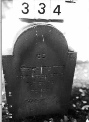 Grabstein 334 (Index: 100094661) Material: Sandstein Zustand: unten leicht abgeblättert m. Textverlust Maße HxBxT: 77x45x12 cm Beschreibung: Stele, eingezogener Rundbogenabschluß: Grabstein 334