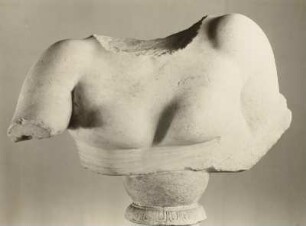 Weiblicher Torso (Schulter und Brust)