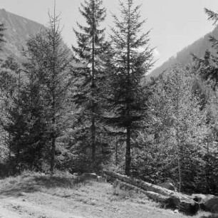 Landschaft um Rila-Gebirge ein Gebirge im Südwesten Bulgariens