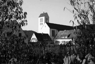 Freiburg i. Br.: Dreifaltigkeitskirche (Durchblick durch Sträucher)