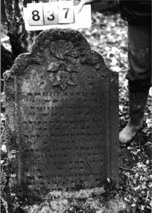 Grabstein 837 (Index: 99751442) Material: Sandstein Zustand: leicht verwittert, Stele eingesunken Maße HxBxT: 85x60x10 cm Beschreibung: Stele, geschwungen eingezogener Rundbogenabschluß, Schriftfeld eingetieft Symbolik: Lilie Besonderheit: Psalm 45, 14: Grabstein 837