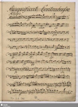 Contrabasso
