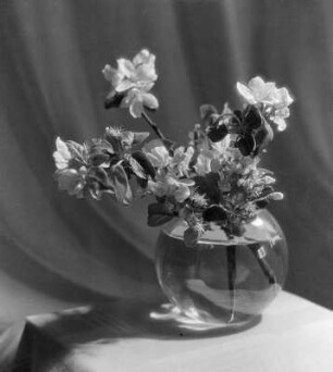 Blumen und Blüten in diversen Vasen. Kirschblütenzweig in einer Glasvase