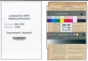 Entnazifizierung Hermann Doernemann, geb. 27.03.1901 (Mueller)
