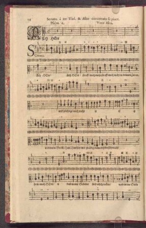 Sonata. à Violino, Viola, & Violon, con Voce alto concertato. Salmo sesto. se piace in Partitata.