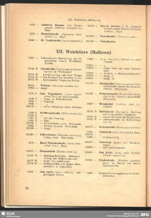 XII. Weichtiere (Mollusca)