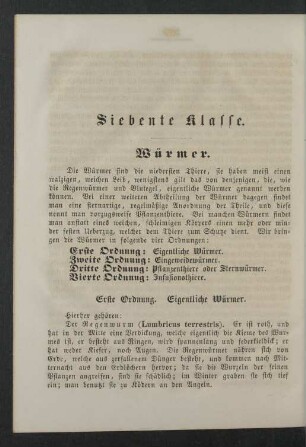 Siebente Klasse. Würmer.