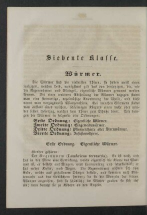Siebente Klasse. Würmer.