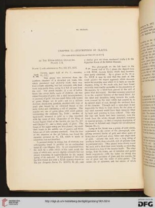 Chapter II: Description of plates