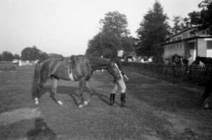 Reitsportanlage. Gesatteltes Pferd auf einer Koppel, neben ihm der Reiter